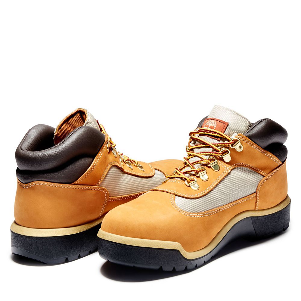 Zapatillas Timberland Hombre Waterproof Field Boots Marrones/Negras - Chile APD-019843